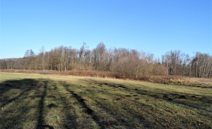 działka na sprzedaż - Jelcz-Laskowice (gw), Chwałowice