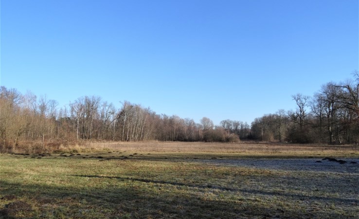 działka na sprzedaż - Jelcz-Laskowice (gw), Chwałowice