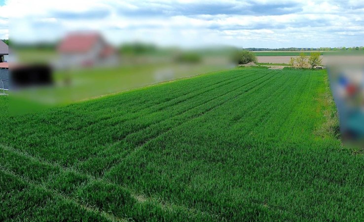 działka na sprzedaż - Jelcz-Laskowice (gw)